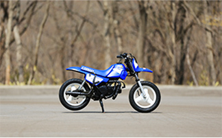 YAMAHA PW50