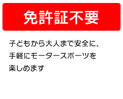 免許証不要