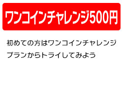 ワンコインチャレンジ